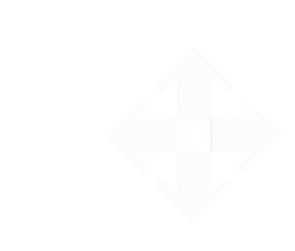 Datis Logo